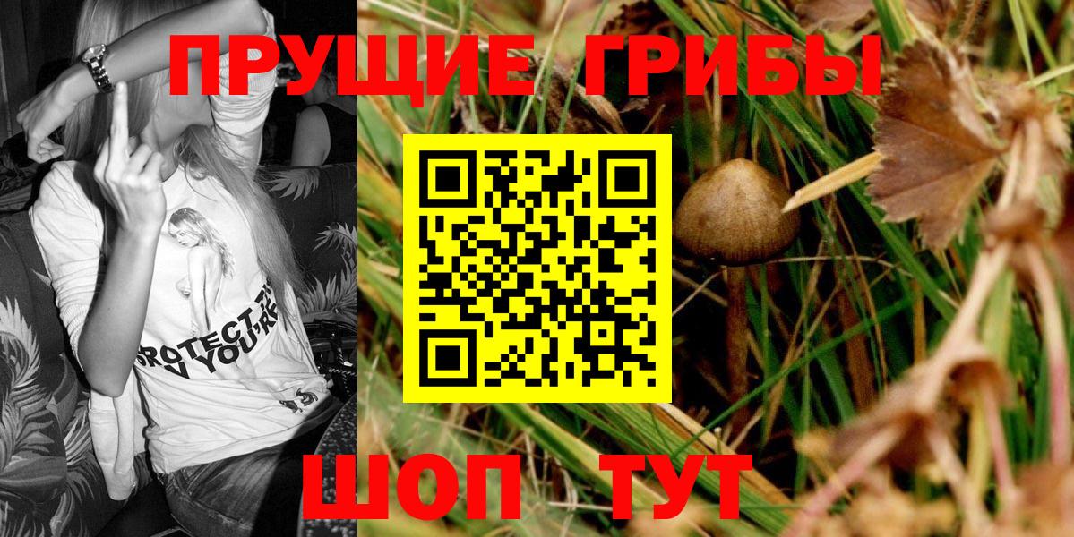 Псилоцибиновые грибы мицелий Качканар